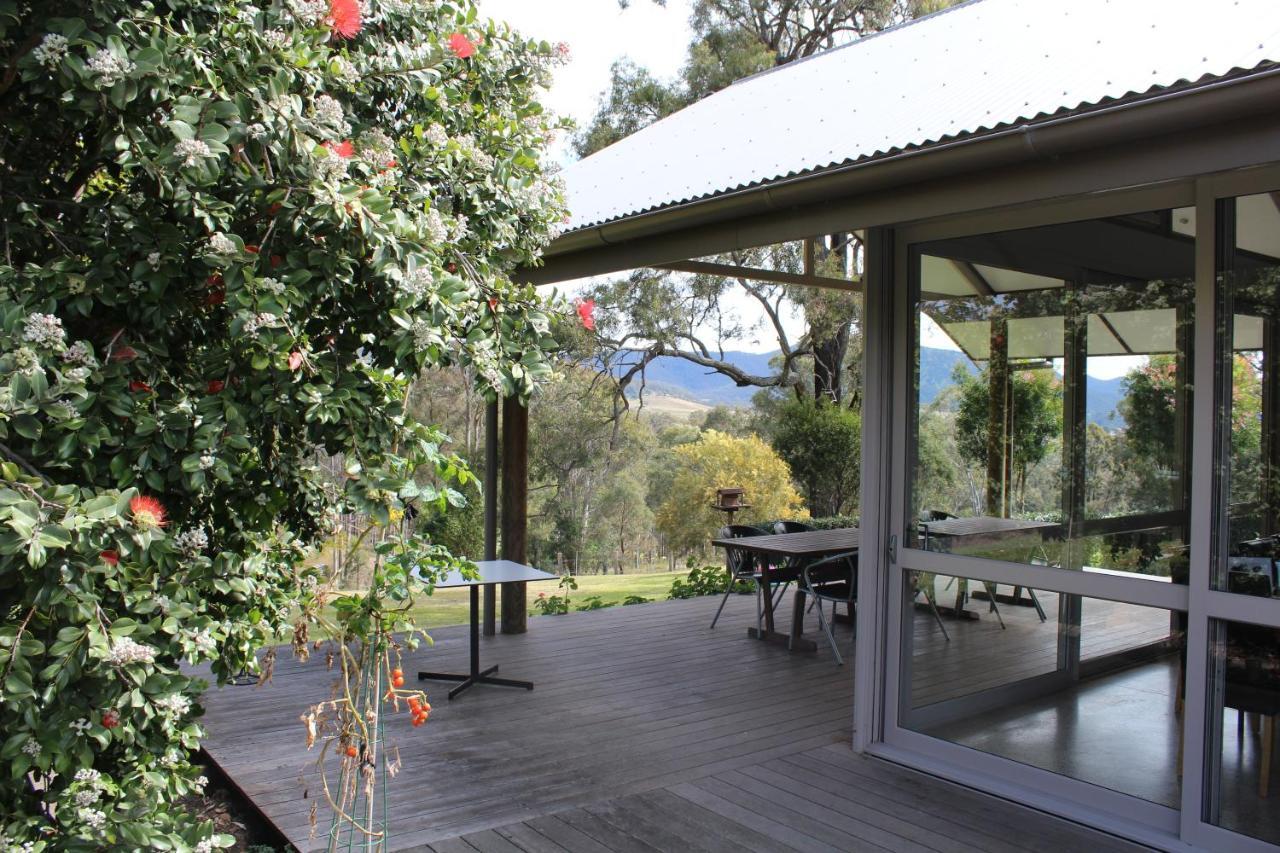 Elfin Hill Vineyard Accommodation Pokolbin Eksteriør billede